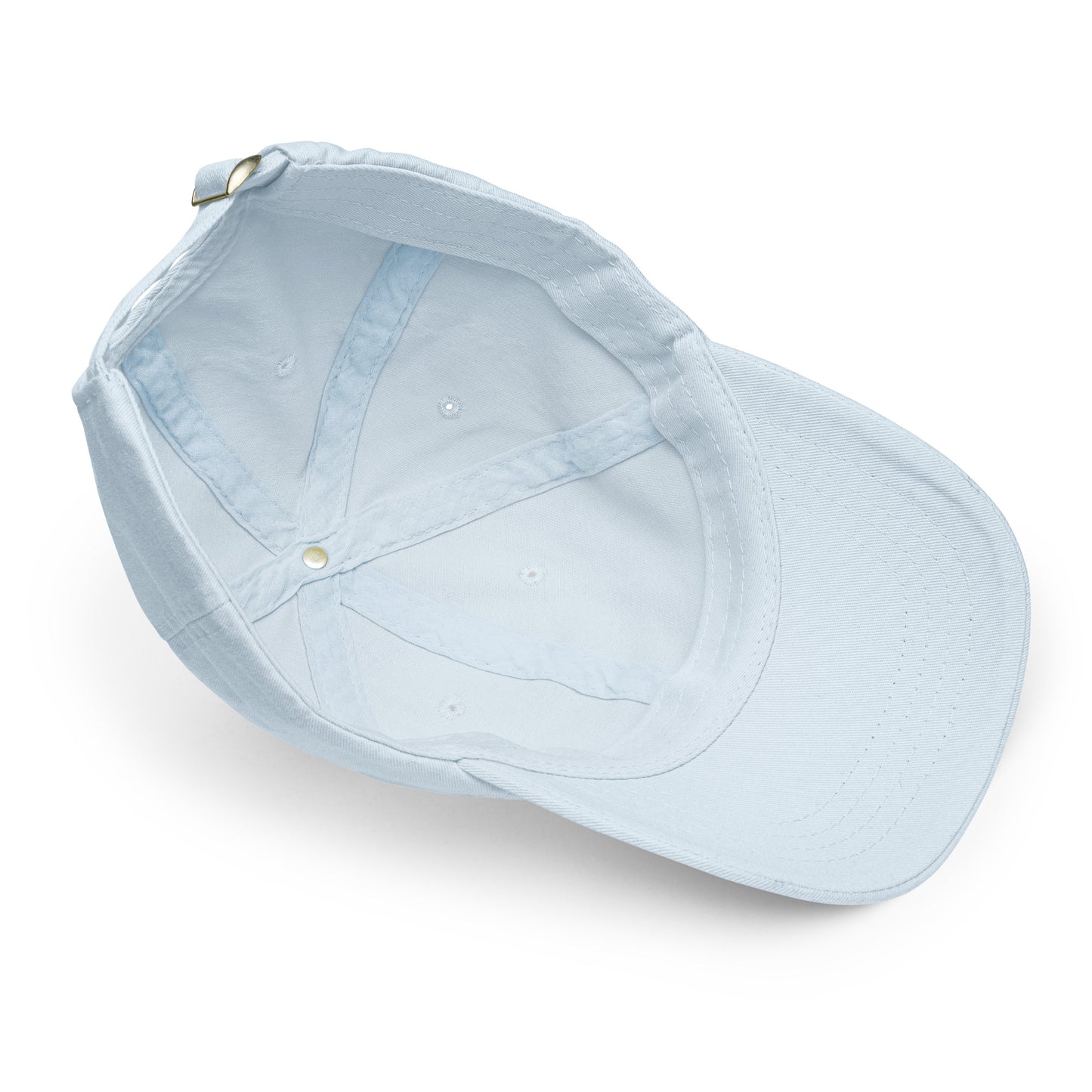 Grumpy shag Pastel baseball hat
